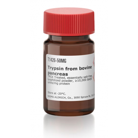 تریپسین فرام بوین پانکراس T1426 Trypsin from bovine pancreas sigma