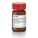 تریپسین فرام بوین پانکراس T1426 Trypsin from bovine pancreas sigma