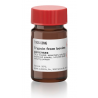تریپسین فرام بوین پانکراس T1426 Trypsin from bovine pancreas sigma