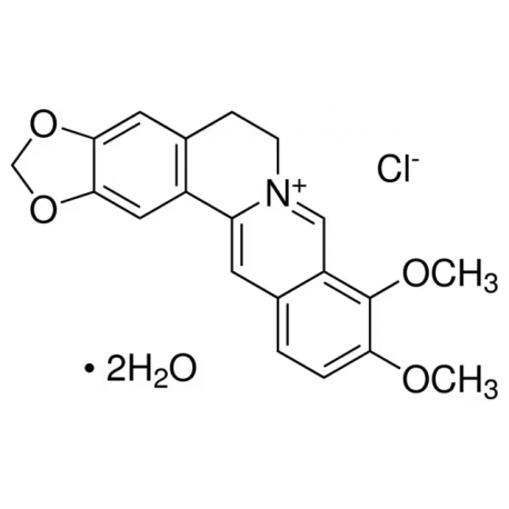 ببرین کلرایدهیدرات Berberine chloride hydrate 14050 SIGMA