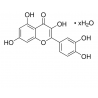 کورستین Quercetin sigma phr1488