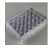 پلیت کشت سلول استریل 24Testplate Wells 30024