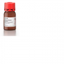 گولتار دهید مایع Glutaraldehyde solution G8582sigma