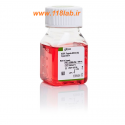 تریپسین Trypsin EDTA 0.05% گیبکو Gibco کد 25300054