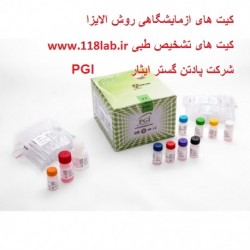 ویتامین ب 12 Vitamin B12 PGI Kit