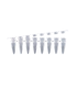 PCR Tube Strip 0.20 ml DNase/RNase free 60008