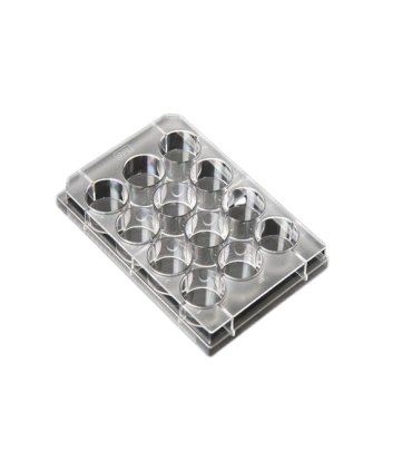 Coverslips Fits into 6 Wells Dimension 25mm Sterile 20025
