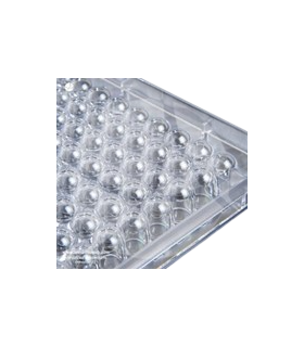پلیت کشت سلول استریل 96Testplate U Wells 34096