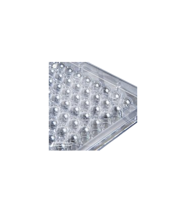 پلیت کشت سلول استریل 96Testplate U Wells 34096
