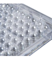 پلیت کشت سلول استریل 96Testplate U Wells 34096