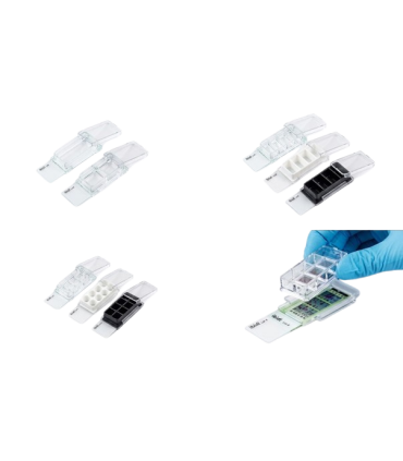 چمبر اسلاید 2خانه نجسب  Spl 30102 Cell Culture Culture Slide 2 Wells Stterile  Non Treated