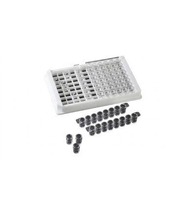 پلیت الایزا96 خانه استریپ 8عددی Immuno Plate Wells 96 Strip Single well type 38296