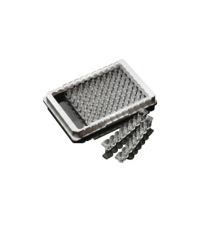 پلیت الایزا 96خانه سفید استریپ 8عددی Immunoplate Wells 96 Strip well type suirface 31796