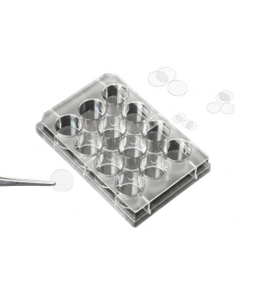 Coverslips Fits into 24 Wells Dimension 12mm Sterile  20012
