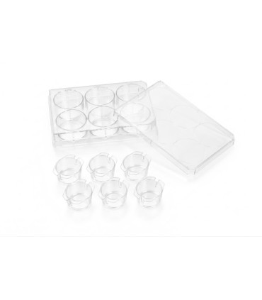 CultureInsert 6 Well 24mm 8/00 Um Pore PCCell Transparent 35206