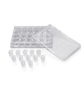 CultureInsert 24 Well 6/50mm  0.40 Um Pore PETCell Opeaque 36024