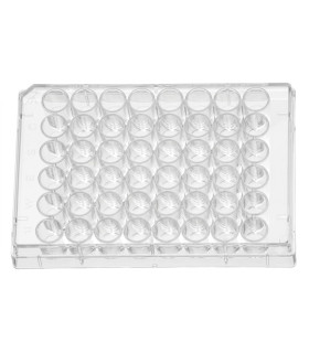 پلیت کشت سلول استریل 48Testplate U Wells