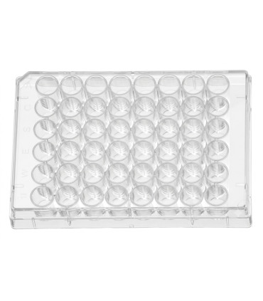 پلیت کشت سلول استریل 48Testplate U Wells