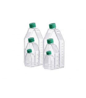 فلاسک ساده کشت سلول استریل TC Flask 25cm2  70125