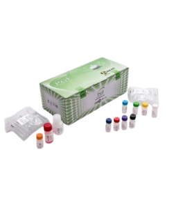 کیت انتی بادی ای جی جی antibody IGG KIT PGI