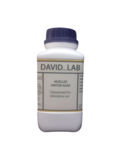 مولر هیلتون اگار Mueller Hilton Agarِ David lab