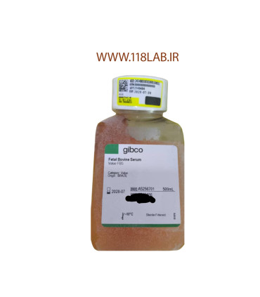 آف بی آس جیبکو   Fetal Bovine Serum Gibco A5256701 FBS