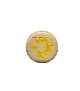 سترماید اگار Cetrimide agar MERCK 105284