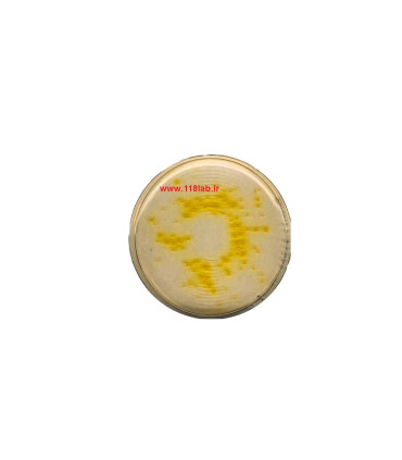 سترماید اگار Cetrimide agar MERCK 105284