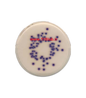 کلیفرم اگار Coliform Agar MERCK 110426