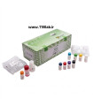 کیت فرتین Kit Ferritin Pgi