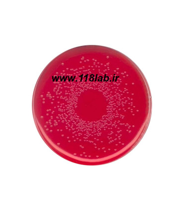 برلیانت گرین بایل اگار  BPLS Merck 110747 Brilliant-green phenol-red lactose sucrose agar BGA