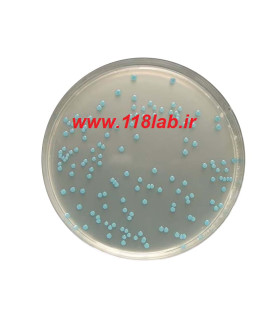 لیستریا سلکتیو اگار Listeria selective agar 100427 MERCK