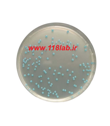 لیستریا سلکتیو اگار Listeria selective agar 100427 MERCK