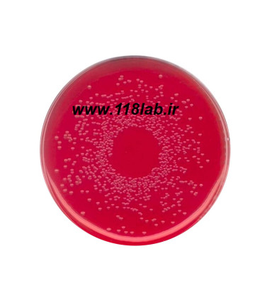 فنل رد اگار Brilliant-green Phenol-red Lactose Sucrose agar 100207 MERCK