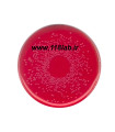 فنل رد اگار Brilliant-green Phenol-red Lactose Sucrose agar 100207 MERCK