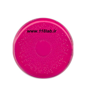مانیتول سالت اگار Mannitol Salt Agar 105404 MERCK