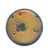 سابرو دکستروز اگار Sabouraud Dextrose Agar SDA 105438 MERCK