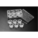 CultureInsert 6 Well 24mm 8/00 Um Pore PETCell Translucent
