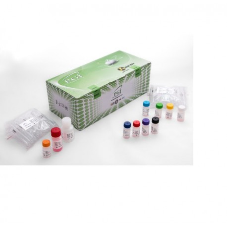 کیت تی فور 3 T3 KIT PGI