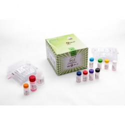 کیت فری پی اس ا Kit Free Psa PGI