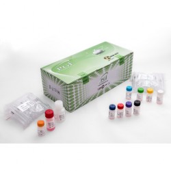 کیت پرجسترون Kit Progesterone PGI