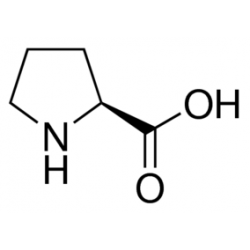 ال پیرولین L - Proline SIGMA P5607
