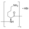 Poly-L-lysine hydrobromide sigma p6282 پلی ال لازین